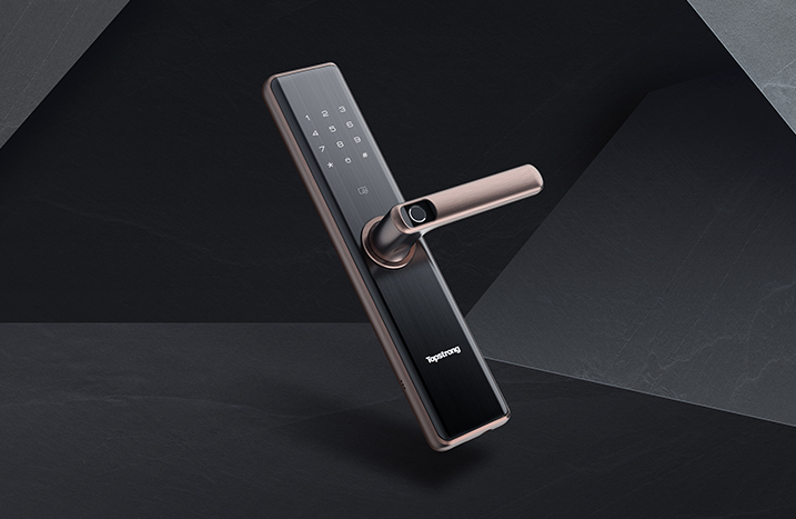 W2-Smart Lock